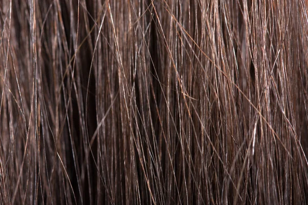 人間の毛髪 — ストック写真