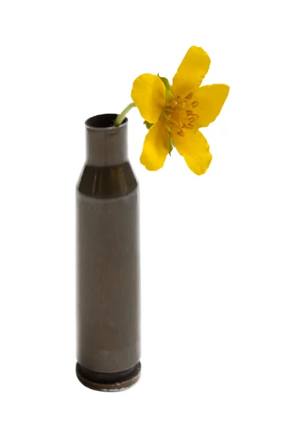 총알에 꽃 — 스톡 사진