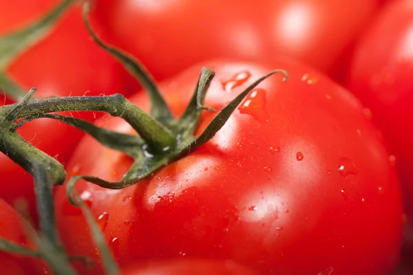Red tomato food — Stock Photo, Image