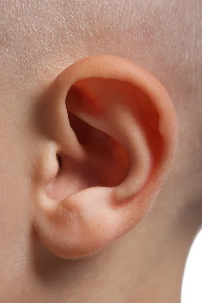 Macro dell'orecchio — Foto Stock
