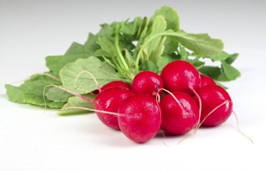 Radish background clipart