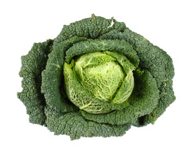 Savoy Cabbage isolated on white clipart