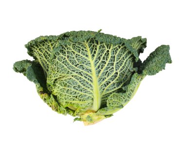 Savoy Cabbage closeup clipart