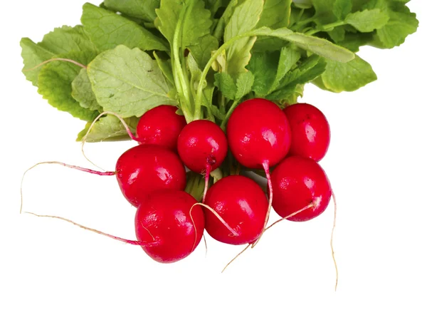 stock image Closeup on red radish