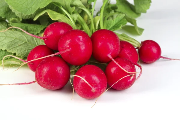 stock image Closeup on red radish