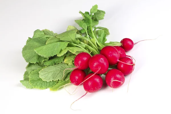 stock image Radish background