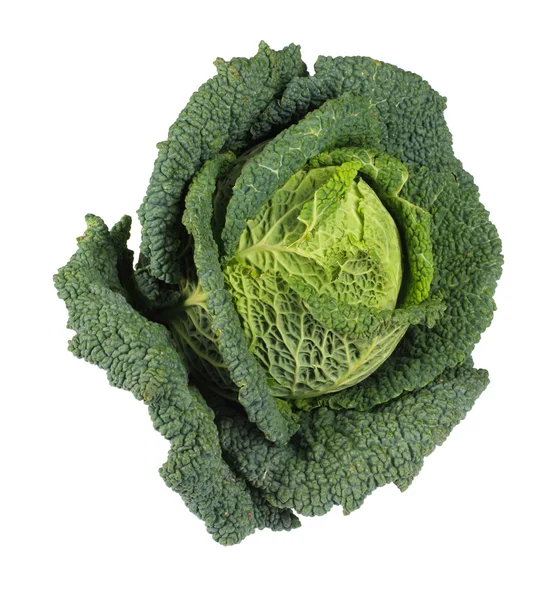 Savoy Cabbage closeup — Stock Photo, Image