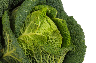 Savoy Cabbage closeup clipart