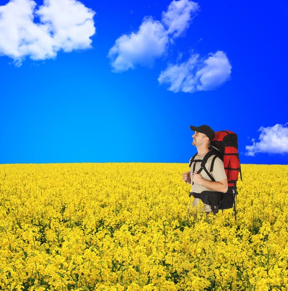 Happy backpackers in flowers field — Stock Photo, Image