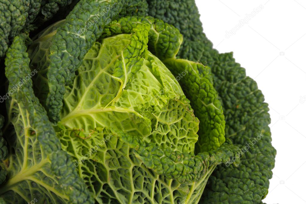 Savoy Cabbage closeup