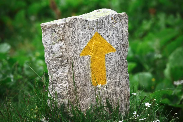 Sarı taş ok işareti — Stok fotoğraf