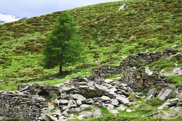 Ruin on italian alps — Stock Photo, Image