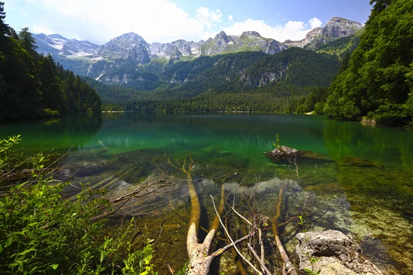 Tovel-tó, olasz Alpok — Stock Fotó
