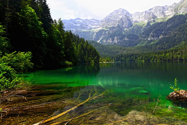 Tovel jezero v Alpách — Stock fotografie
