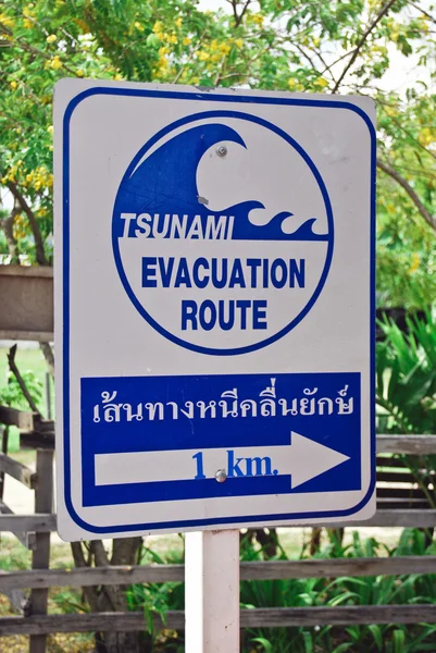 stock image Tsunami board in phi phi