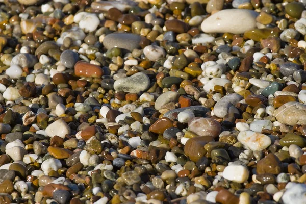 stock image Sea pebble