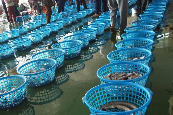 Аукцион рыб на Тайване — стоковое фото
