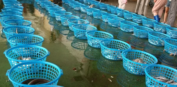 Leilão de peixe e marisco em Taiwan — Fotografia de Stock
