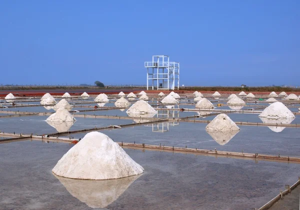 Збирання морської солі — стокове фото