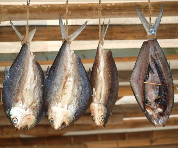 Pesce appeso ad asciugare — Foto Stock
