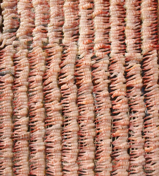 Shrimps Drying in the Sun — Stock Photo, Image
