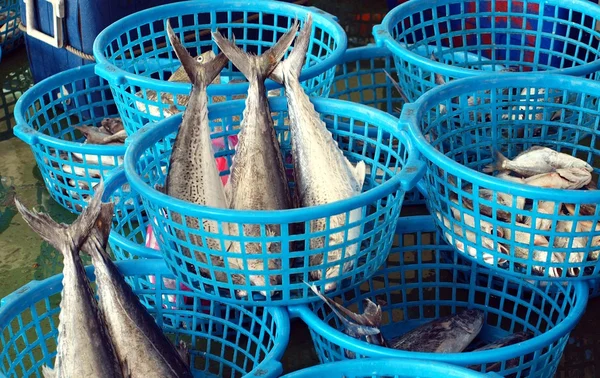 Auktion von Fisch und Meeresfrüchten — Stockfoto