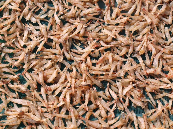 Beaucoup de crevettes — Photo