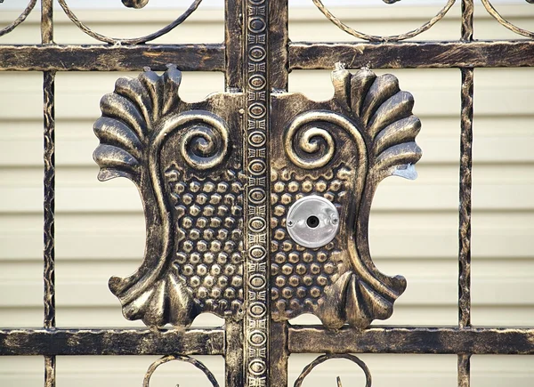 Uitgebreide bronzen poort — Stockfoto