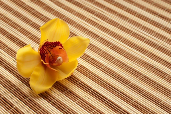 Žlutá orchidej na ubrousek bambus — Stock fotografie