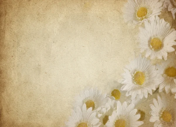 Квітка пергамент — стоковий вектор