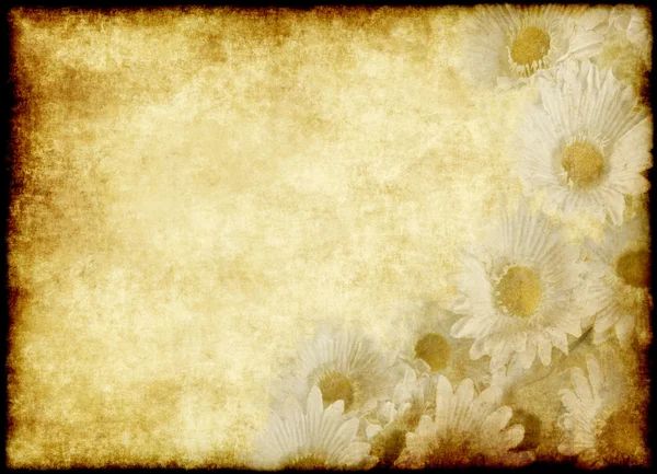 Квітка пергамент — стоковий вектор