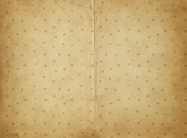 Vieux papier parchemin — Image vectorielle