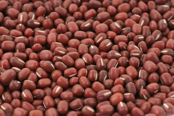 Rostlina bean pozadí — Stock fotografie