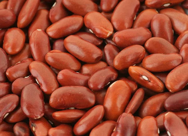 Red kidney bean background — Stock Photo, Image