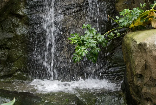 Beautiful waterfall in garden — Stock Photo, Image