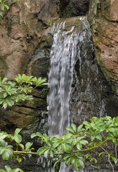Prachtige waterval in tuin — Stockfoto