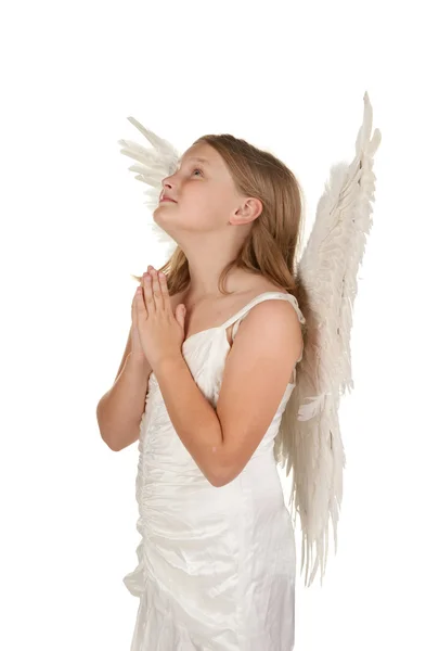 Junger Engel betet auf weißem Hintergrund — Stockfoto