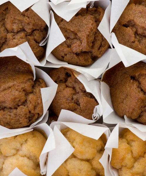 Taze mini muffin kekler — Stok fotoğraf