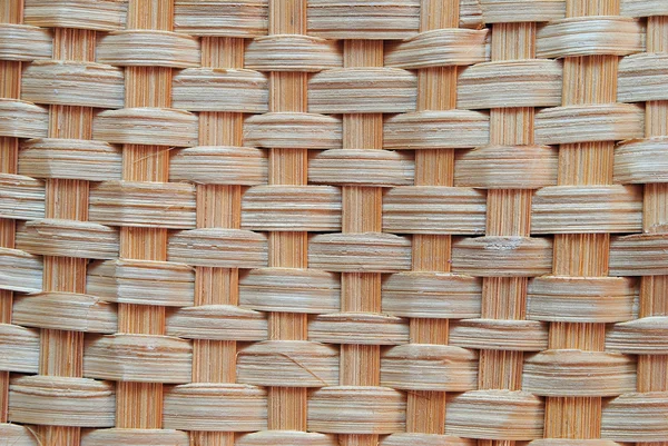 干树的编织 — 图库照片