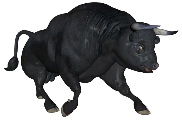 Toro negro — Foto de Stock