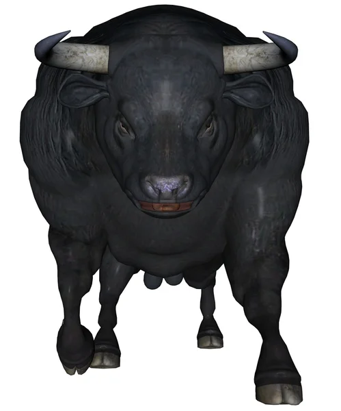 Чорний бик — стокове фото