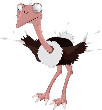 Ostrich clipart