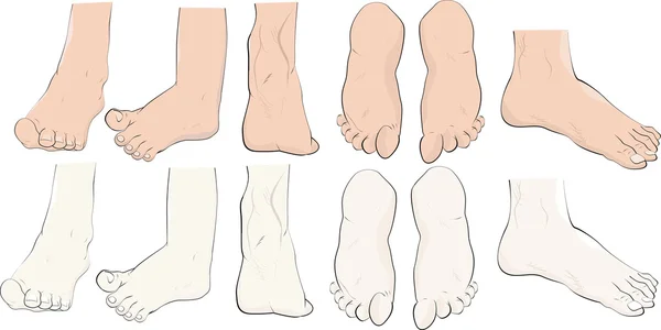 足の完全なセット — ストックベクタ