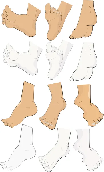 Feet the complete set — Stock Vector