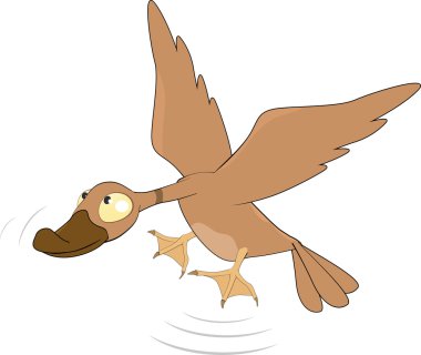 Duck clipart