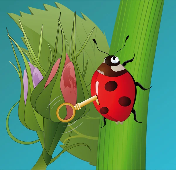 Ladybird and flowers — Stock Vector