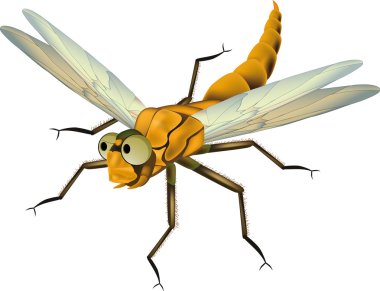 Dragonfly from a fairy tale clipart