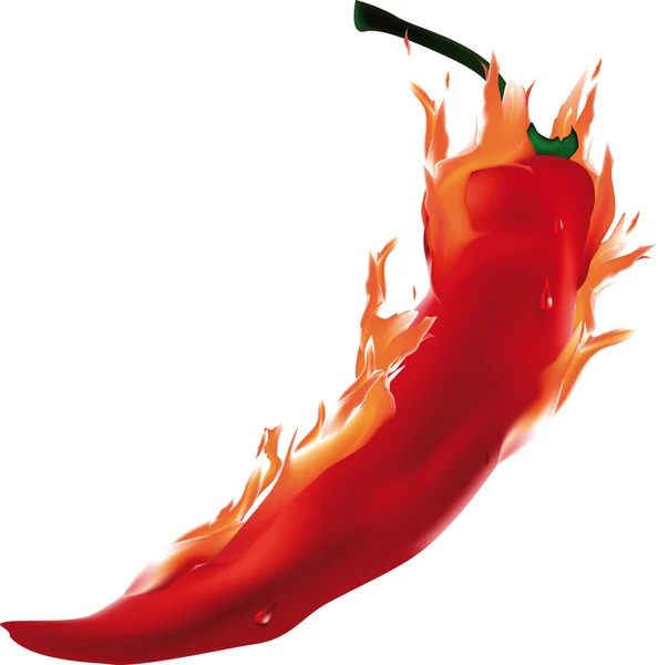 Καύση πιπέρι — Διανυσματικό Αρχείο