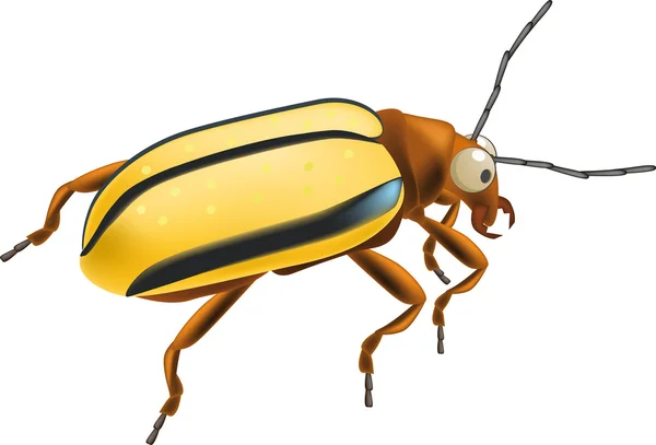 A bug rovar — Stock Vector