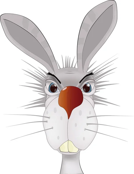 一只兔子的肖像 — 图库矢量图片